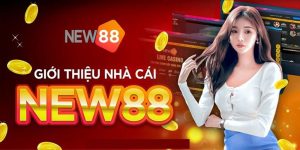 New88 – Nền Tảng Giải Trí Lành Mạnh, An Toàn 2024