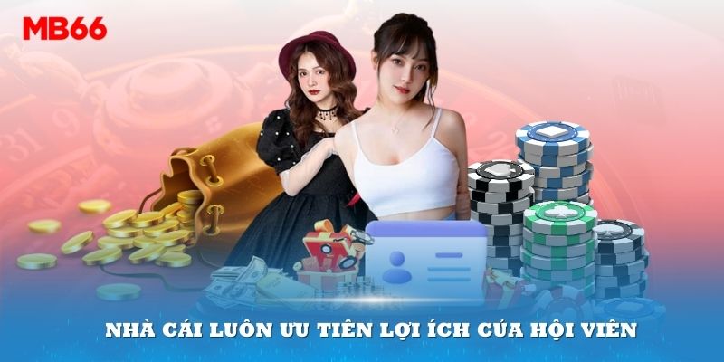 Nhà cái luôn ưu tiên lợi ích của hội viên