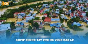 OKVIP chung tay ủng hộ vùng bão lũ khắc phục hậu quả